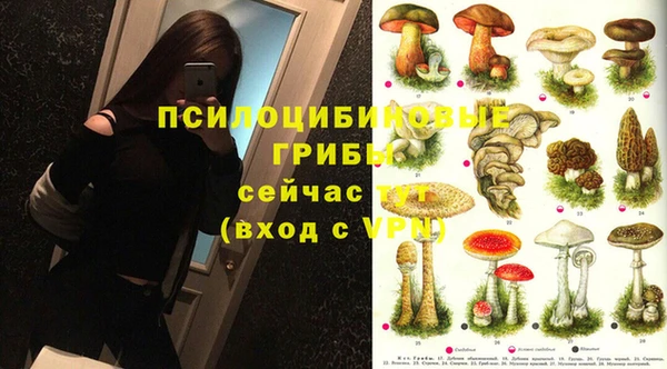 скорость Алексеевка