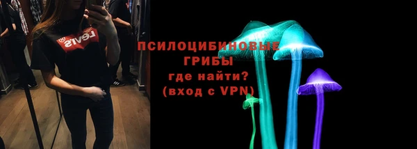 спиды Алексин