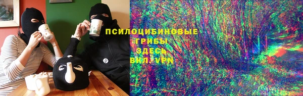 стафф Алзамай