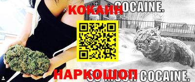 гидропоника Севастополь