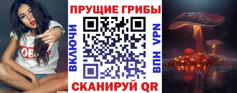 Галлюциногенные грибы Magic Shrooms  Углич 