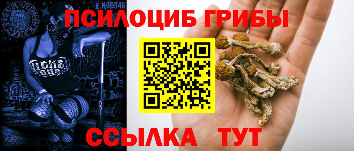 Галлюциногенные грибы Psilocybine cubensis  Псилоцибиновые грибы Psilocybe  Вход с VPN  Углич 